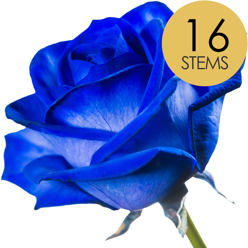 16 Blue (Dyed) Roses