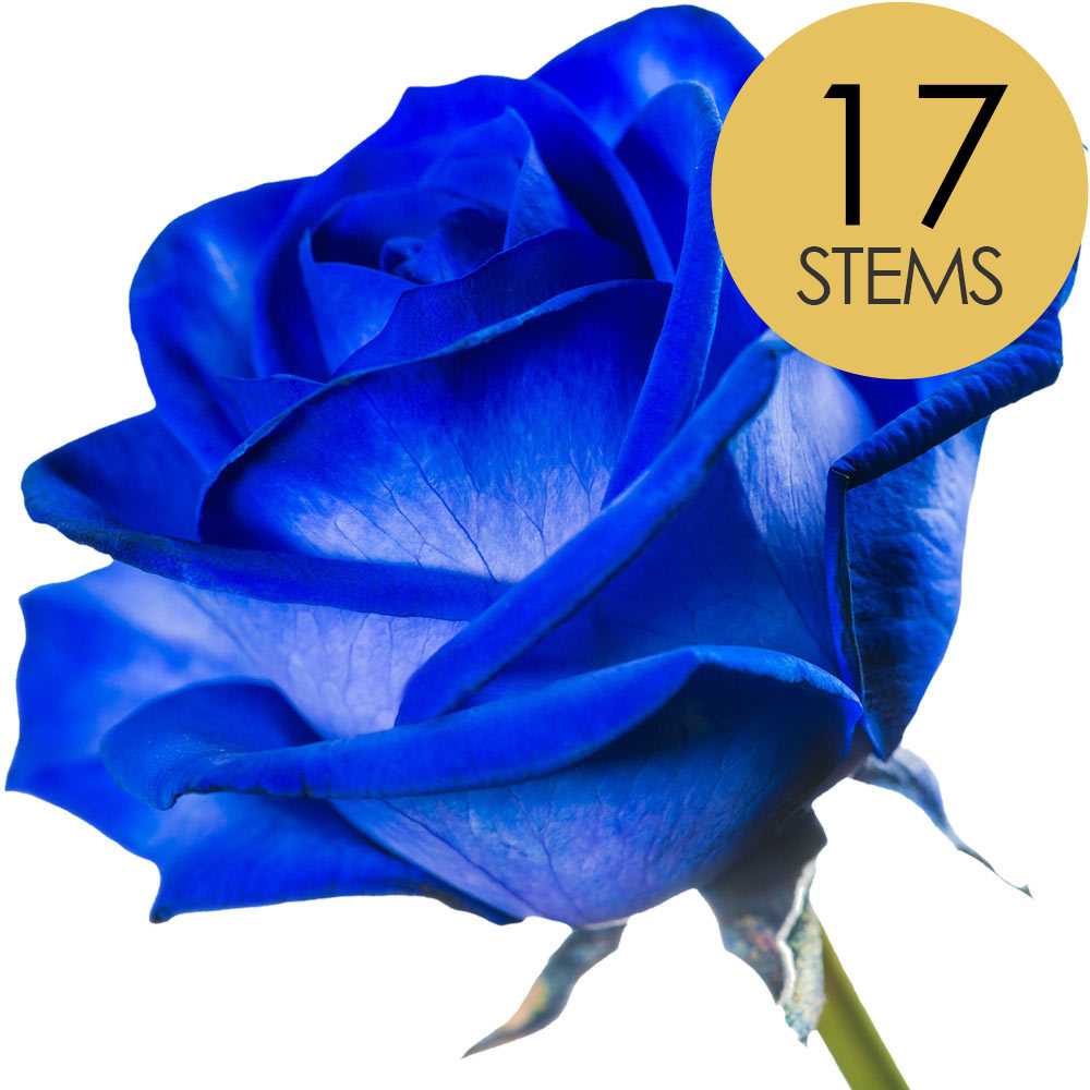 17 Blue (Dyed) Roses