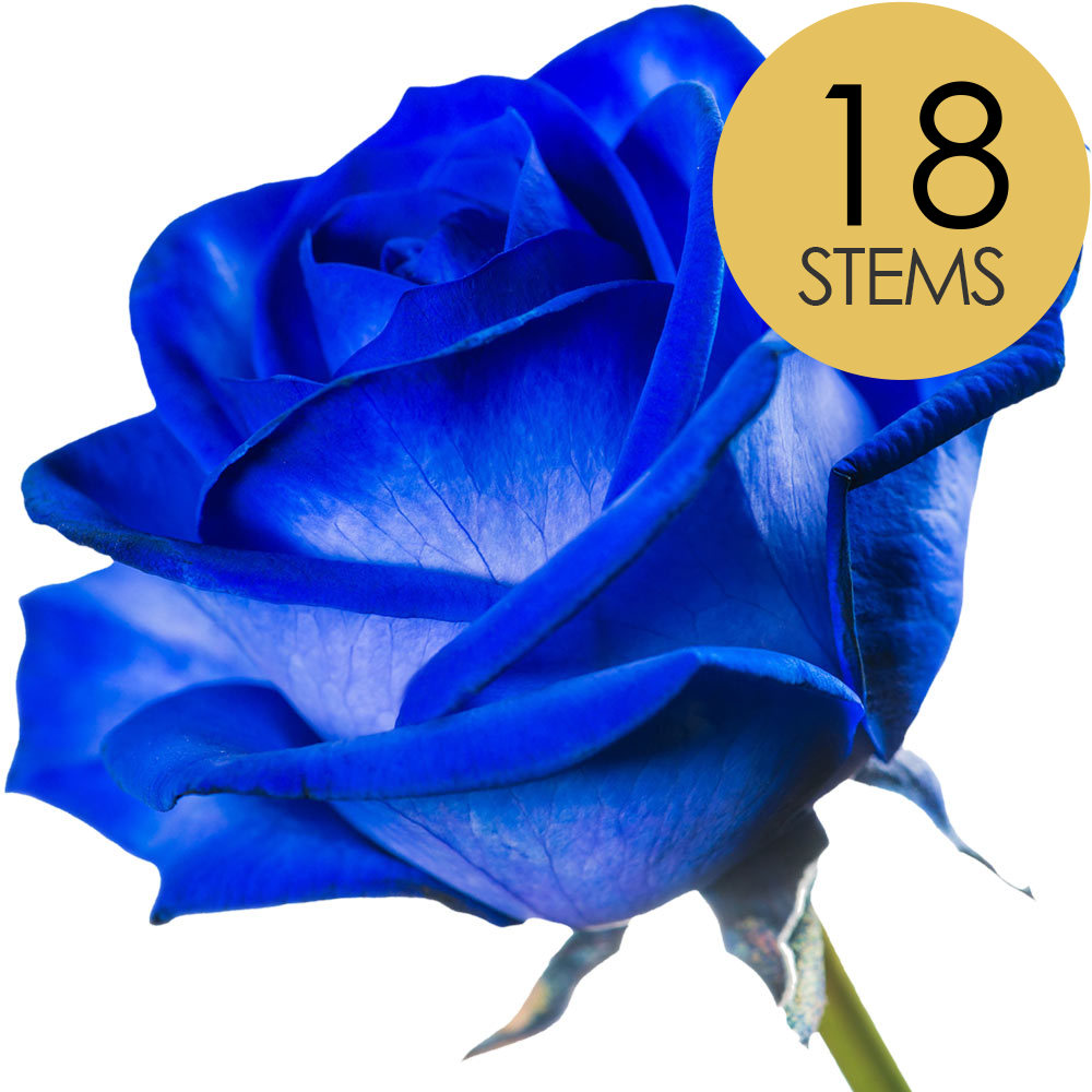18 Blue (Dyed) Roses