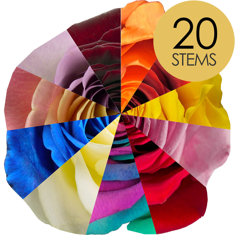 12 Roses Vs 20 Roses Bouquet of 20 Roses - Chosen by colour, Delivered by Interrose
