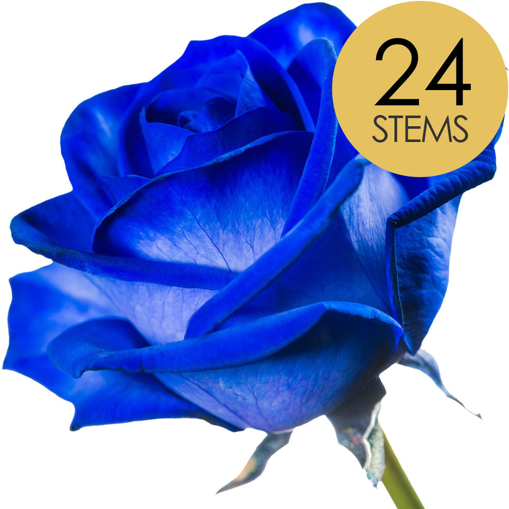 24 Blue (Dyed) Roses