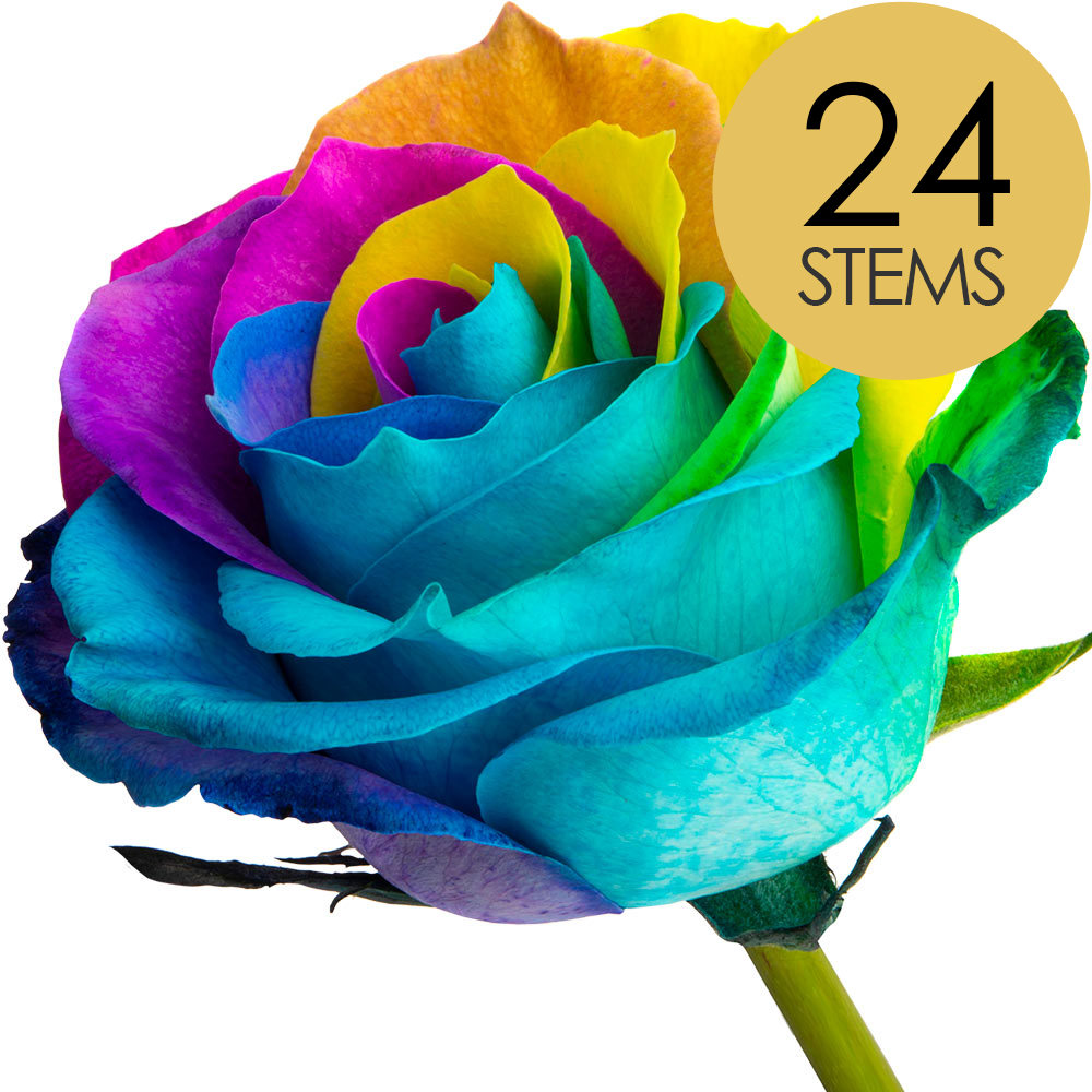 24 Happy (Rainbow) Roses