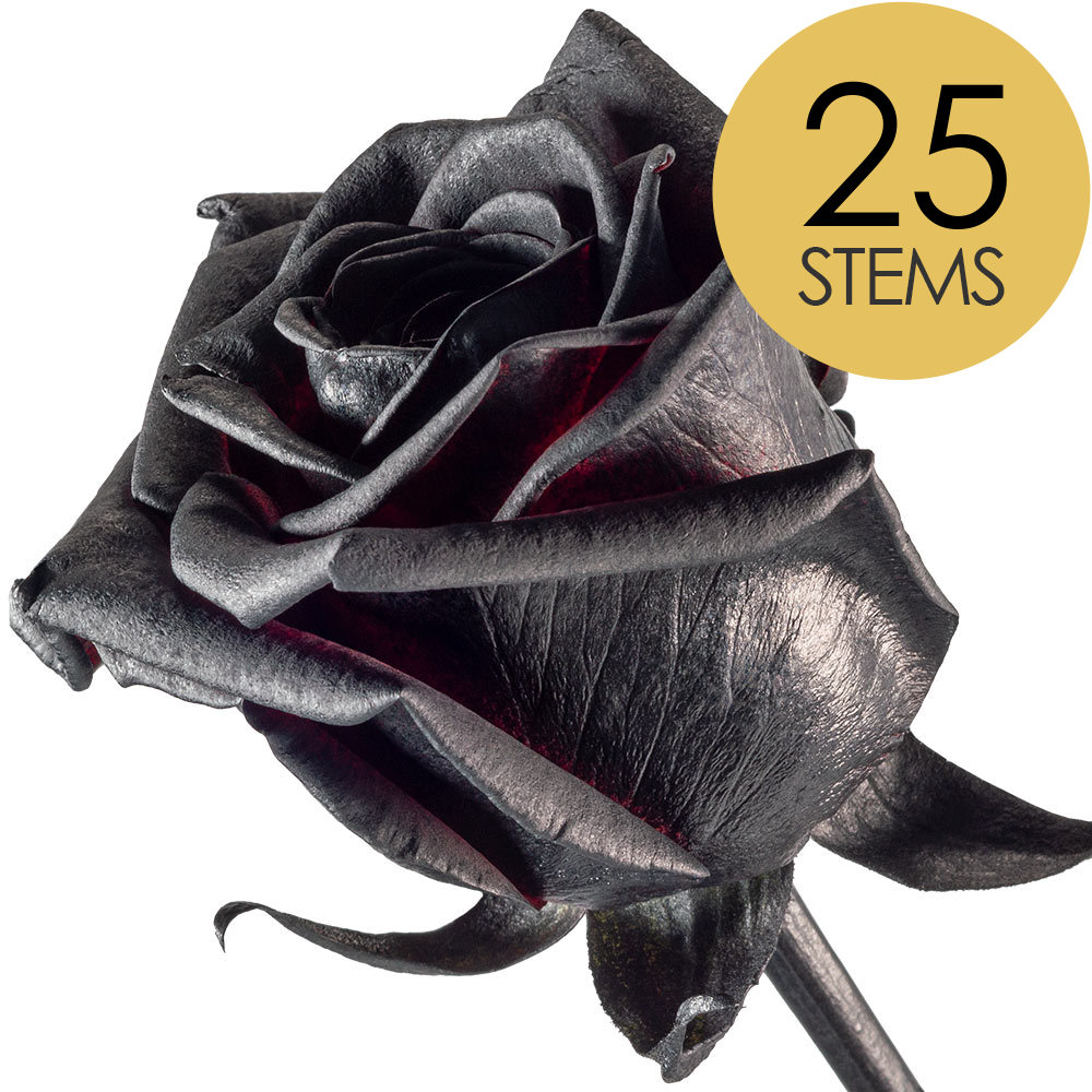 25 Black (Painted) Roses