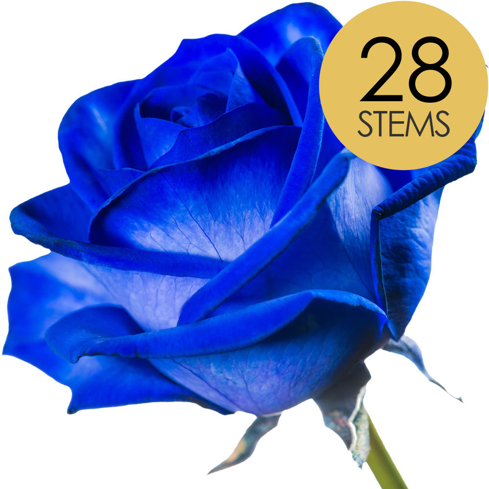 28 Blue (Dyed) Roses