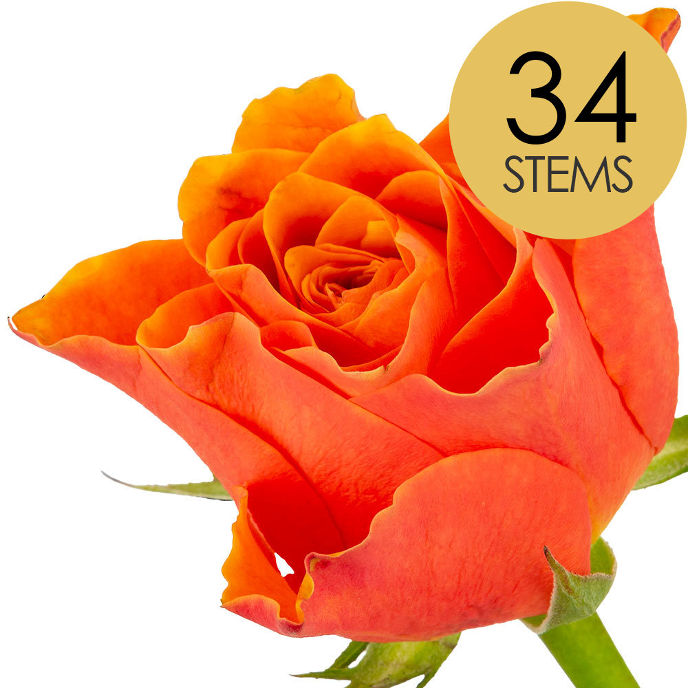 34 Orange Roses