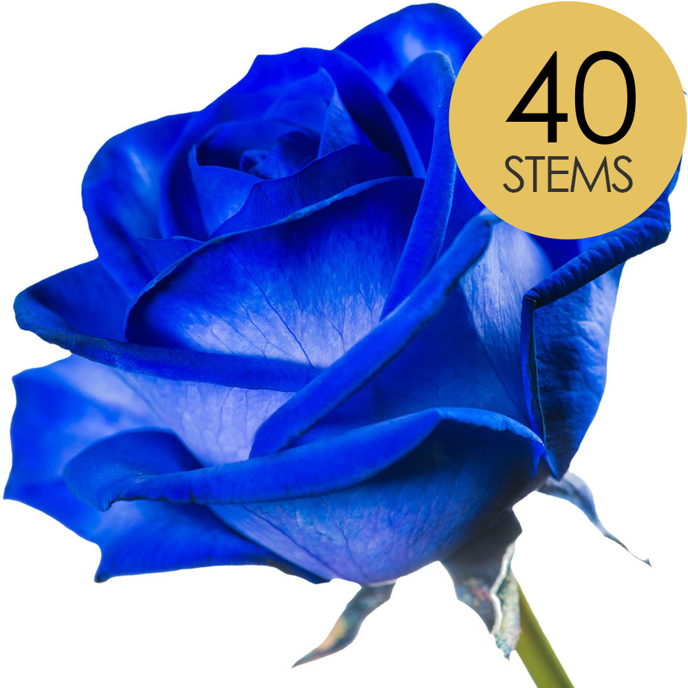 40 Blue (Dyed) Roses