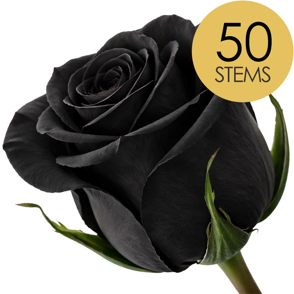 Black Roses - Bold and Distinctive Rose Choice | Interrose