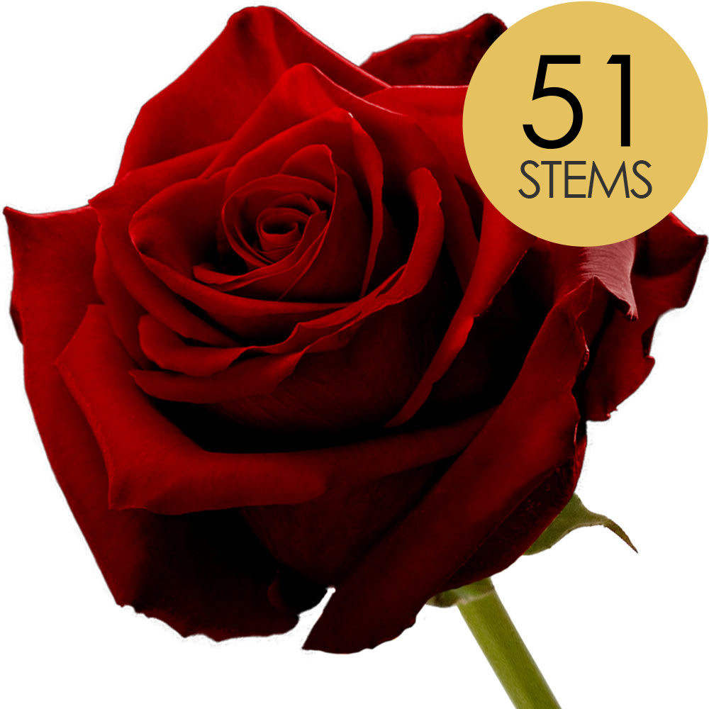51 Roses Bouquet of 51 Roses - Chosen by colour, Delivered by Interrose