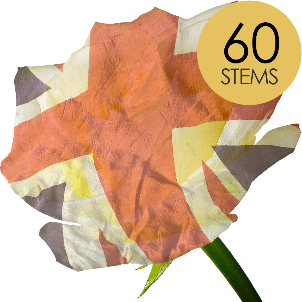 60 Red, White and Blue Roses