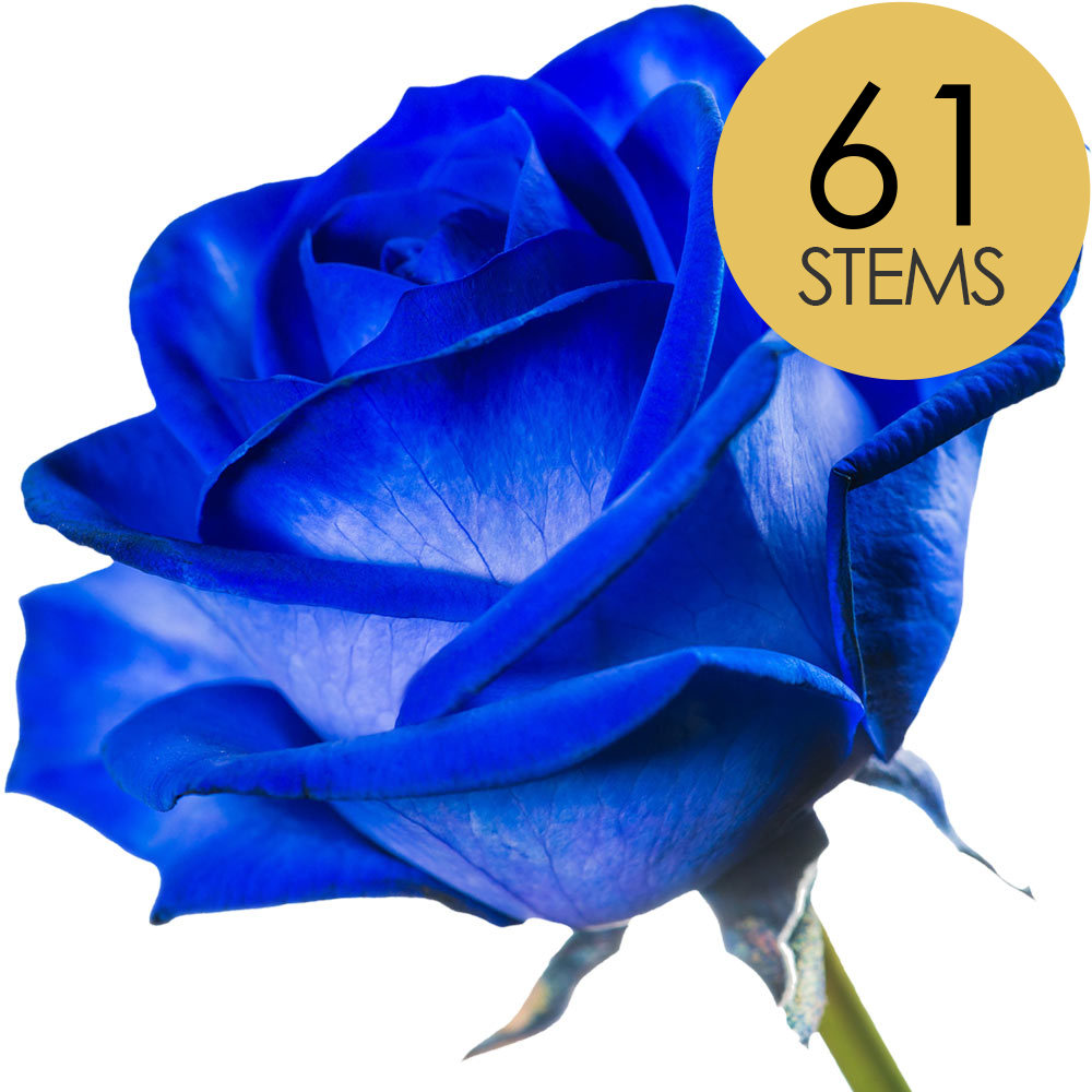 61 Blue (Dyed) Roses