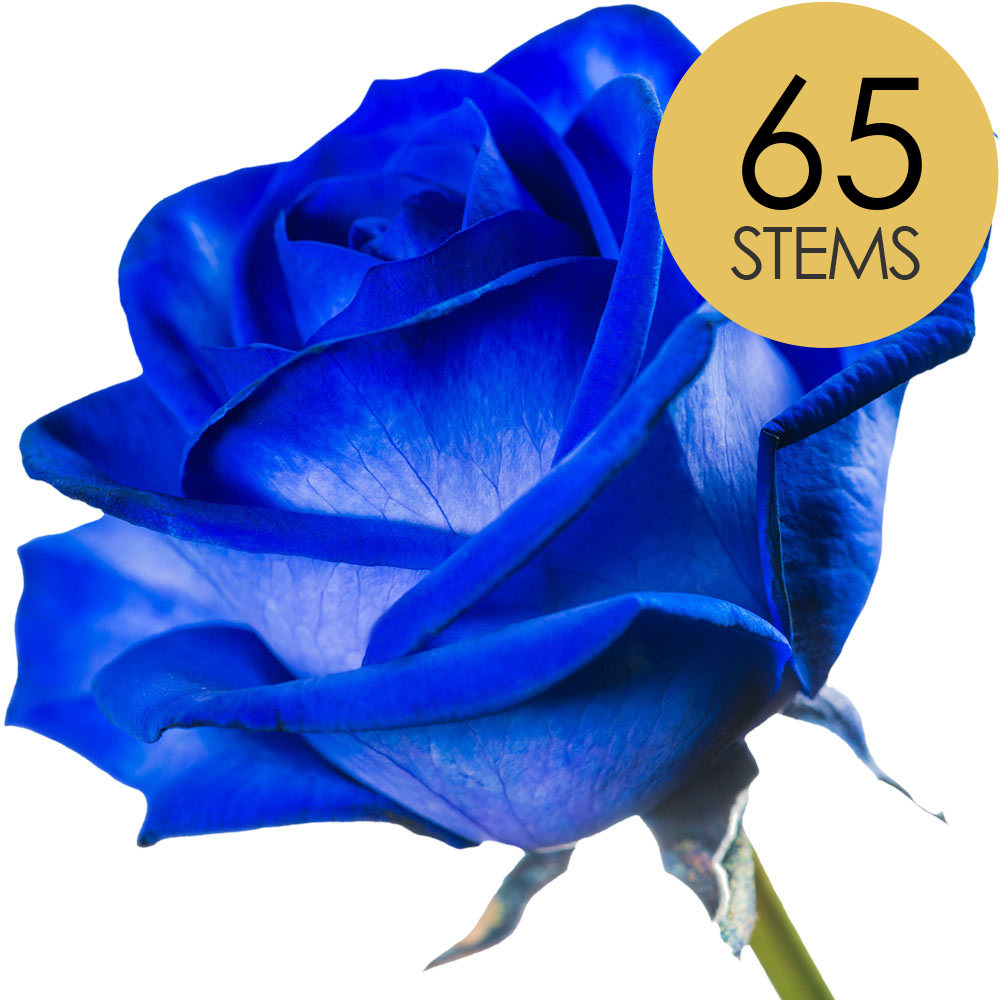 65 Blue (Dyed) Roses