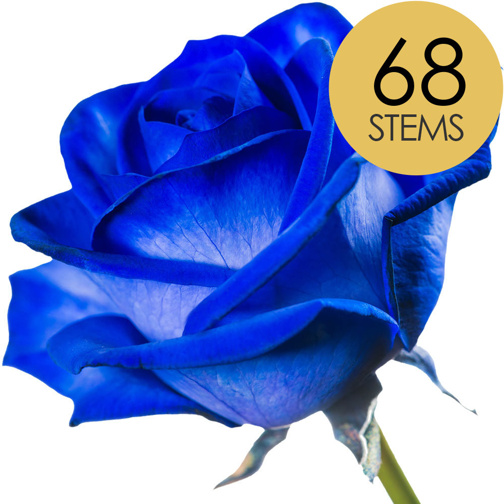 68 Blue (Dyed) Roses