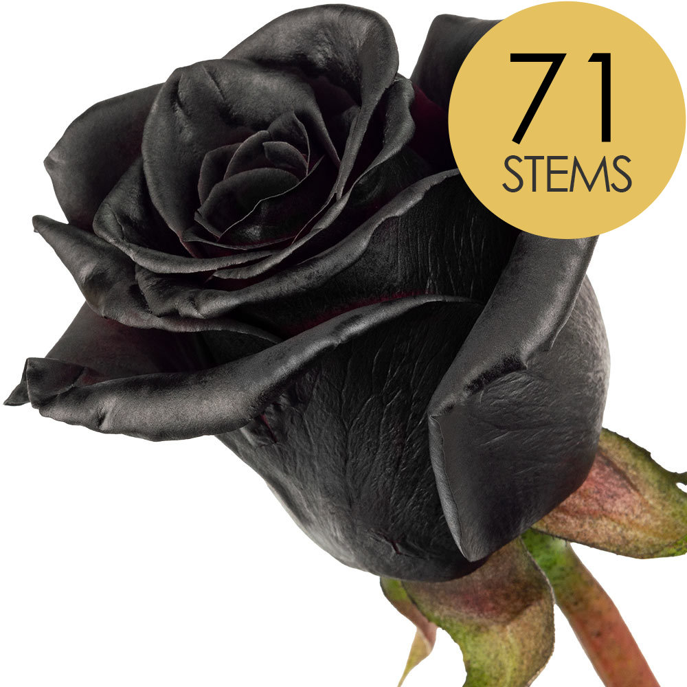 71 Black (Painted) Roses