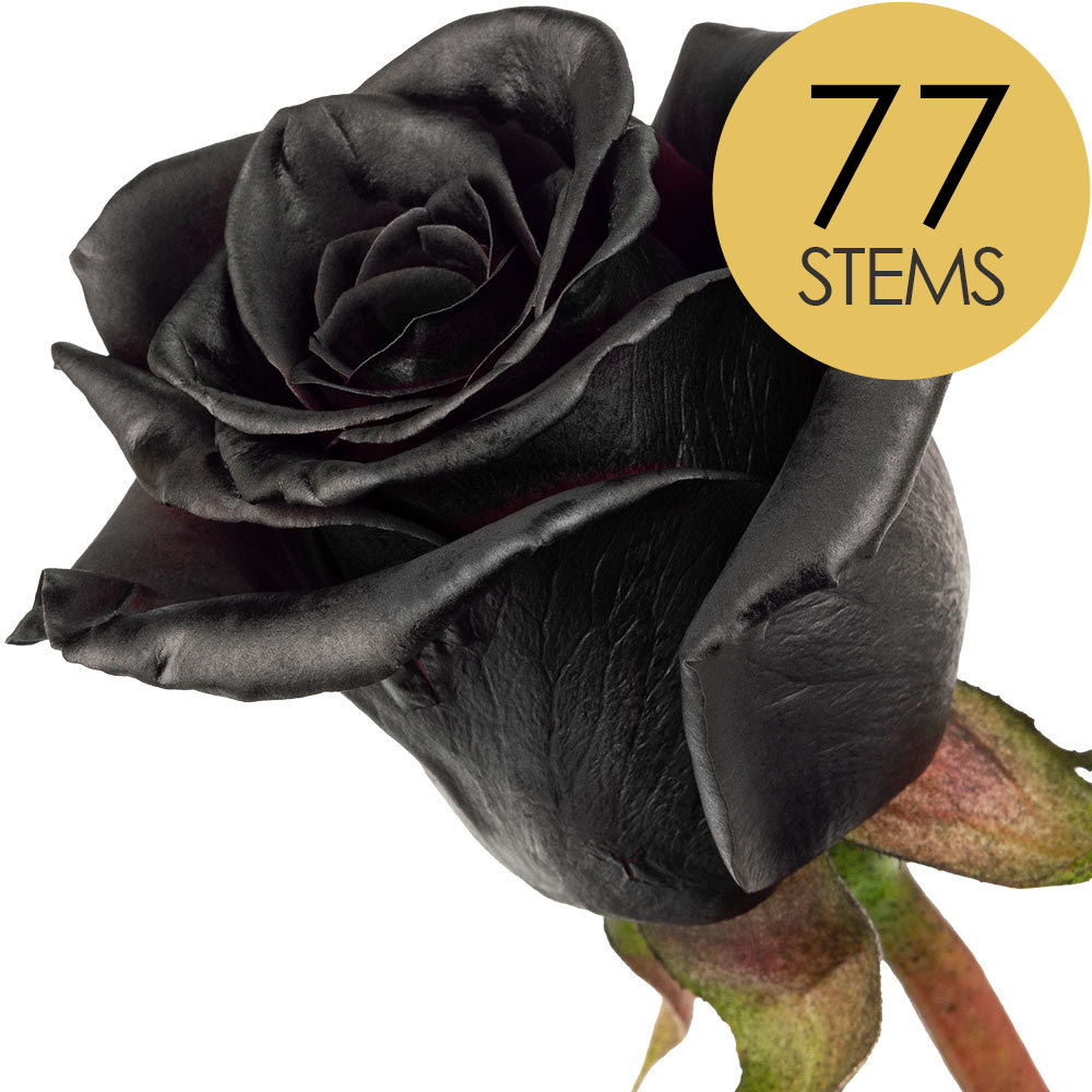 77 Black (Painted) Roses