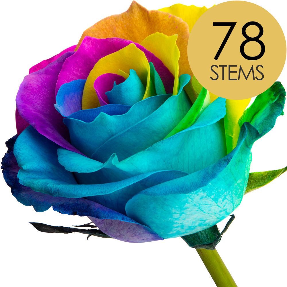 78 Happy Rainbow Roses