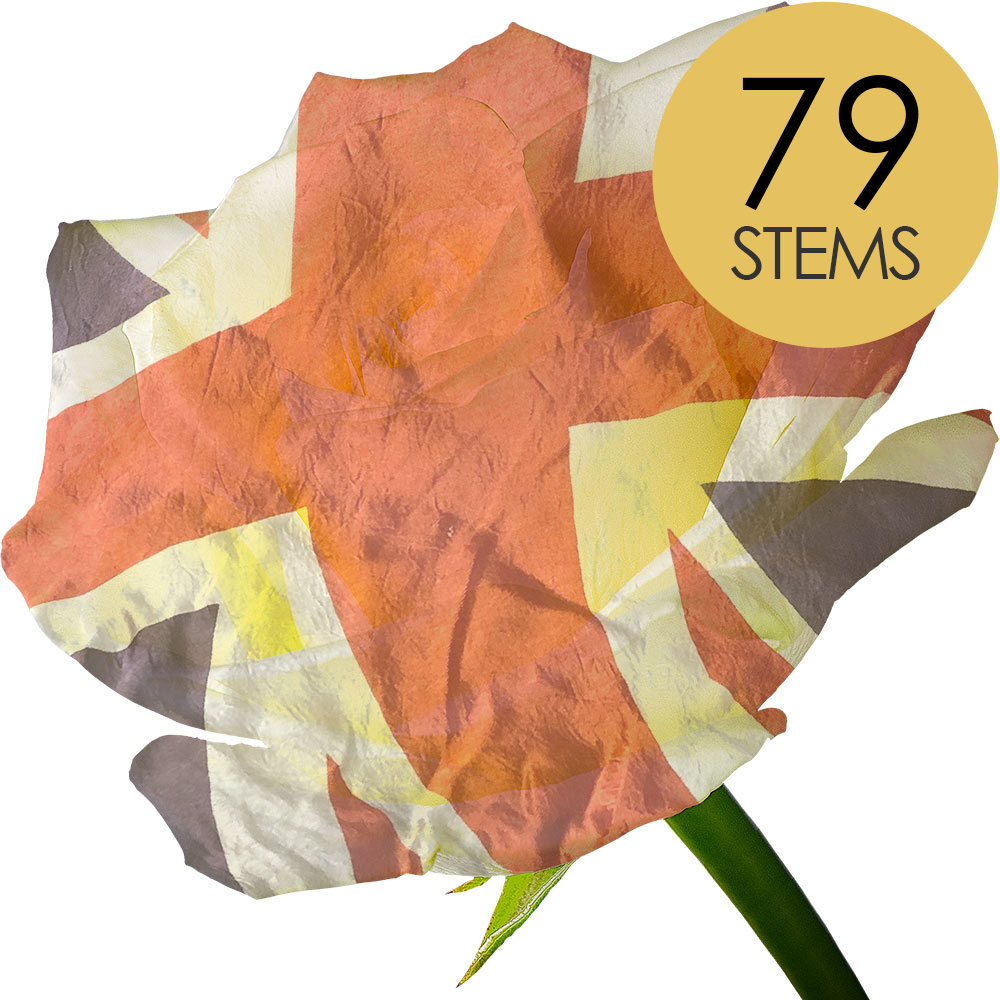 79 Red, White and Blue Roses