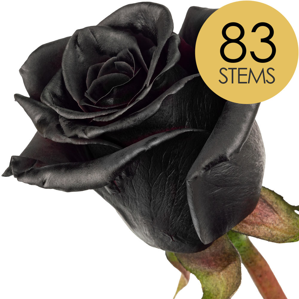 83 Black (Painted) Roses
