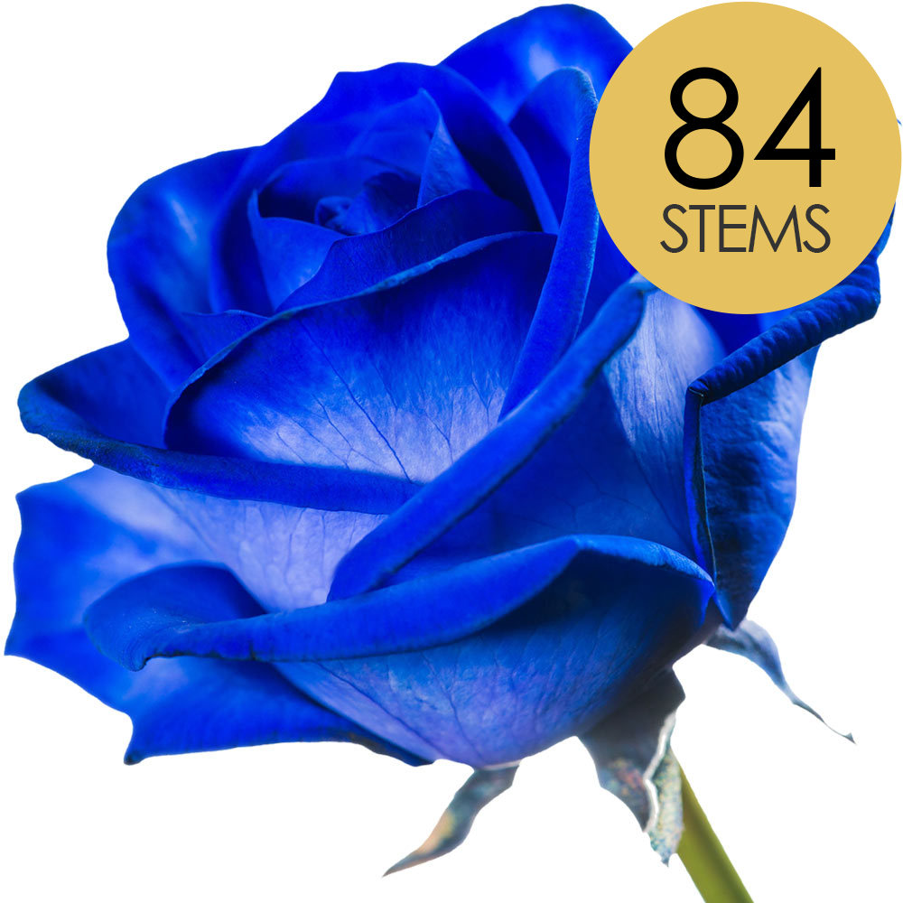 84 Blue (Dyed) Roses