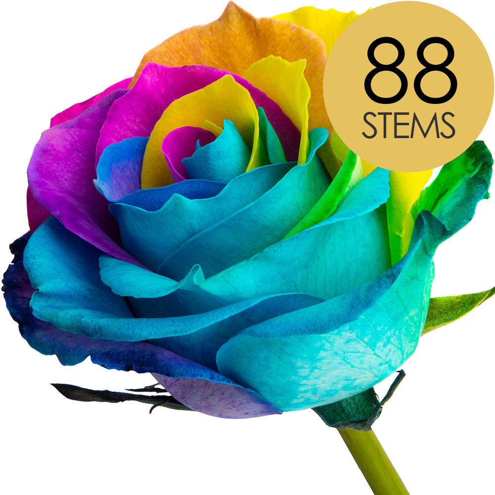 88 Happy (Rainbow) Roses