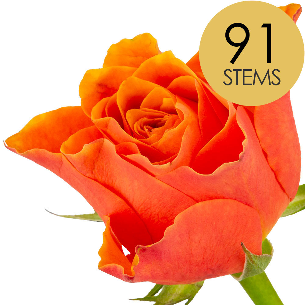 91 Orange Roses