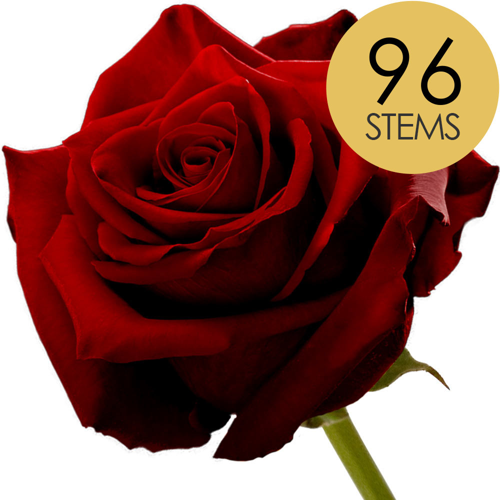 96 Red Roses