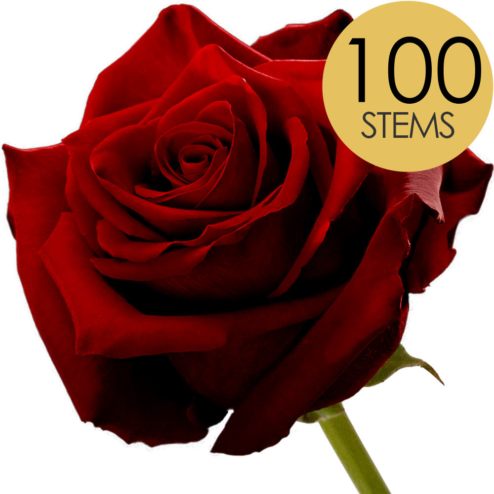 100 Red (Naomi) Roses