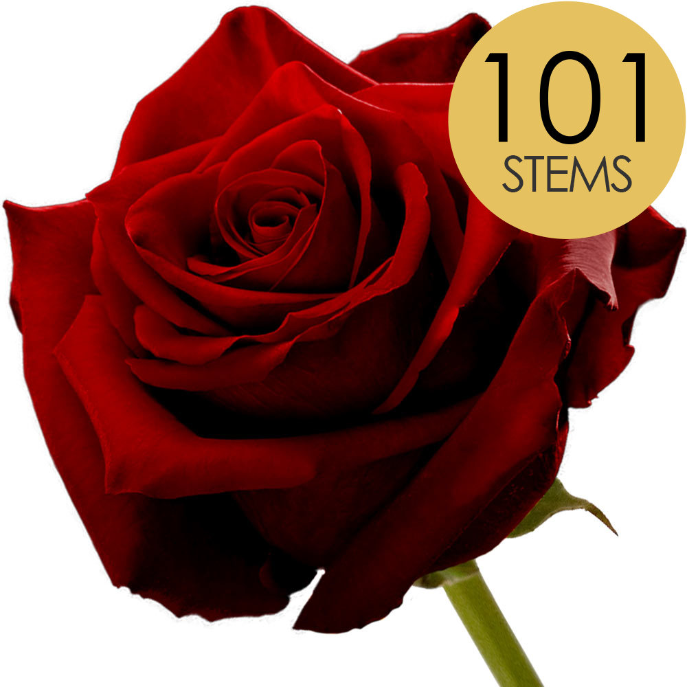 101 Red (Naomi) Roses