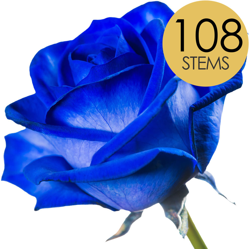 108 Blue (Dyed) Roses
