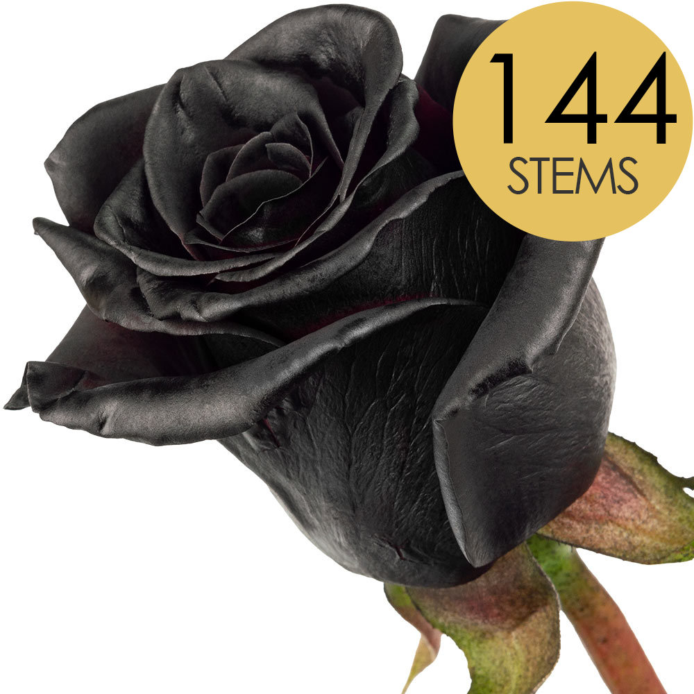 144 Bulk Black (Painted) Roses