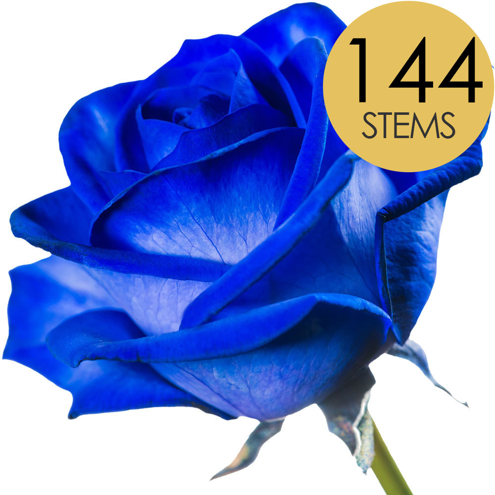 144 Bulk Blue Roses