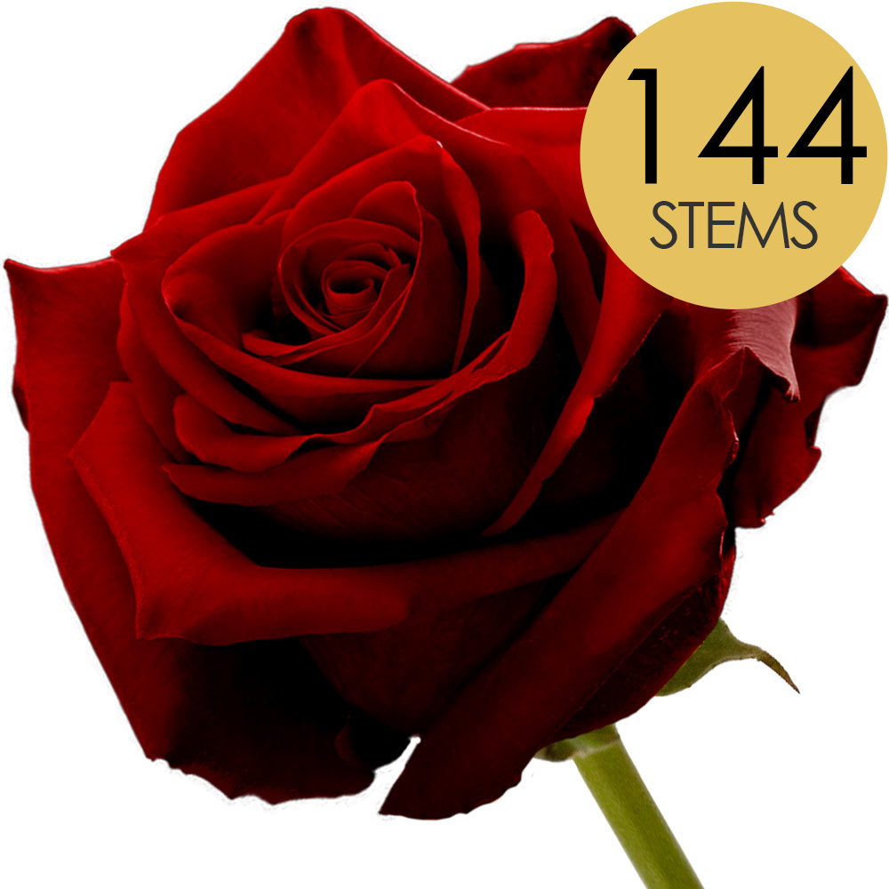 144 Bulk Red Roses
