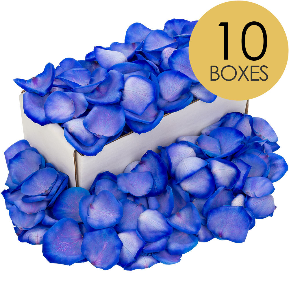 10 Boxes of Blue Rose Petals