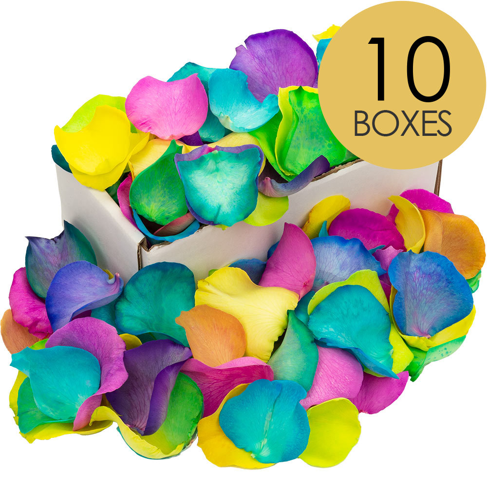 10 Boxes of Happy Rainbow Rose Petals