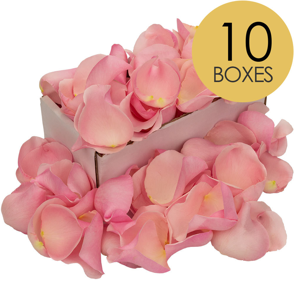 10 Boxes of Pink Rose Petals