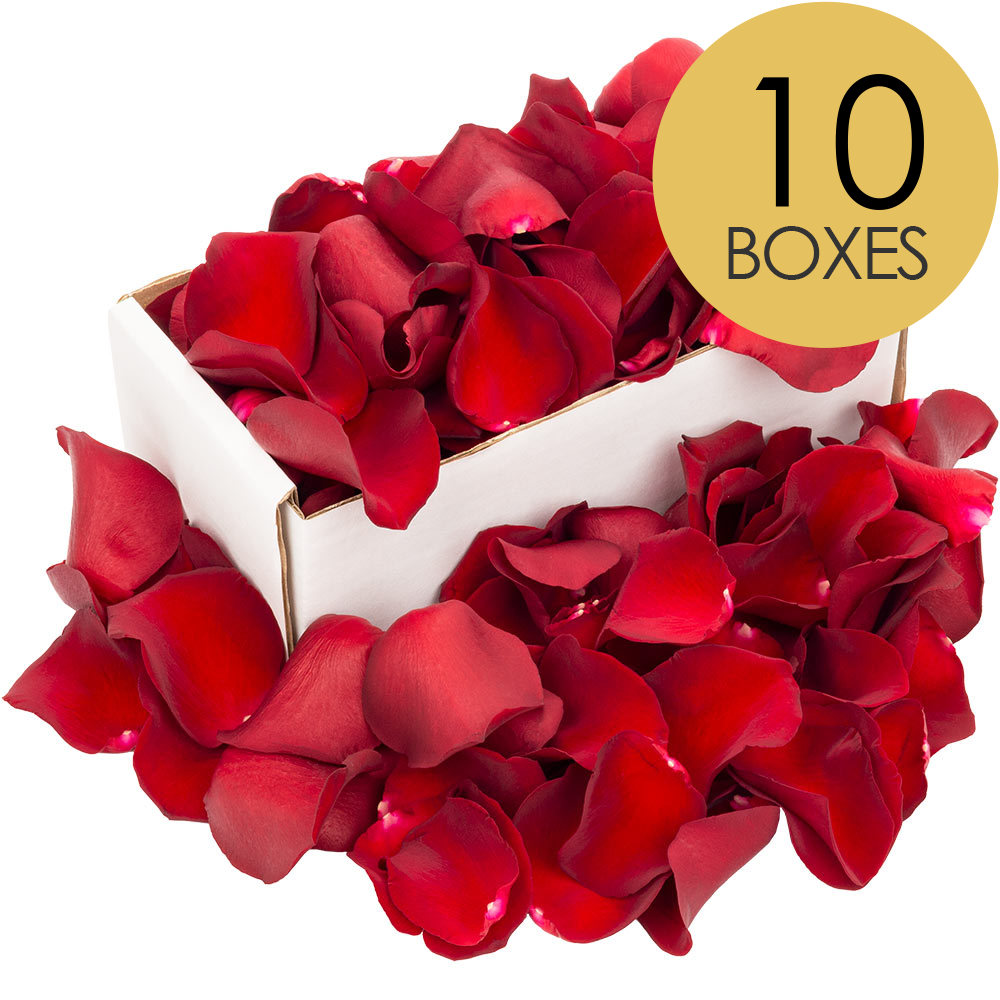 10 Boxes of Red Rose Petals
