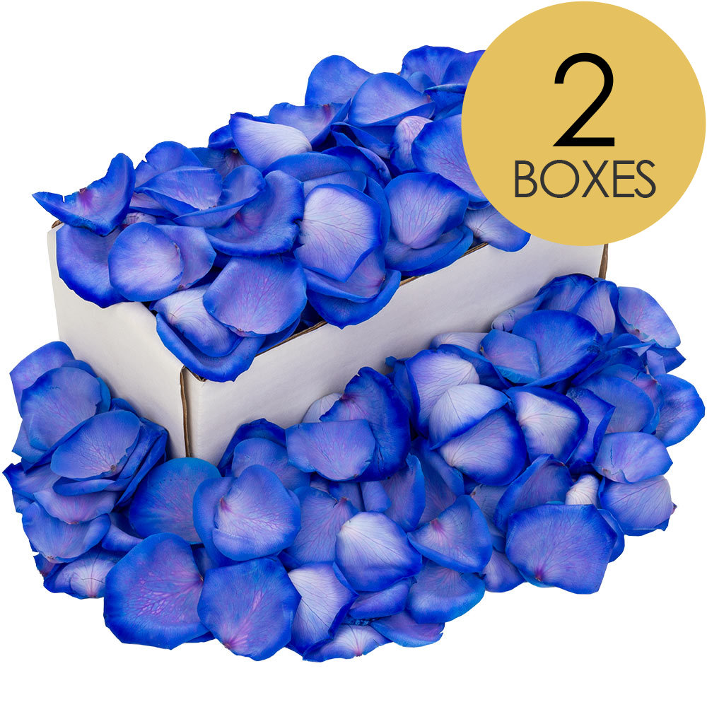 2 Boxes of Blue Rose Petals