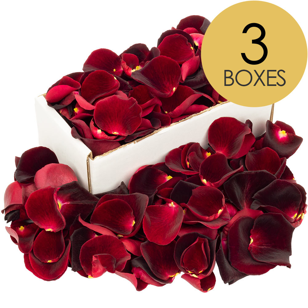 3 Boxes of Black Baccara Rose Petals
