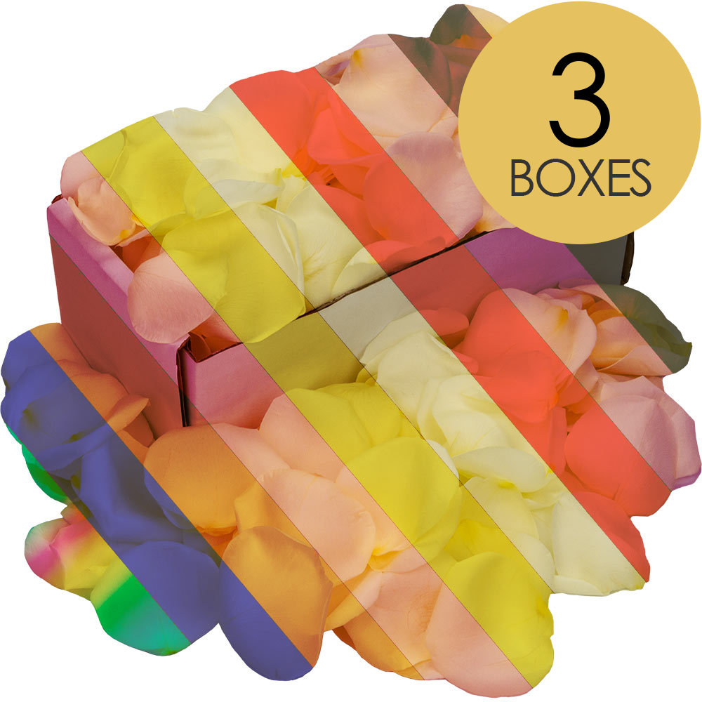 3 Boxes of Customised Rose Petals