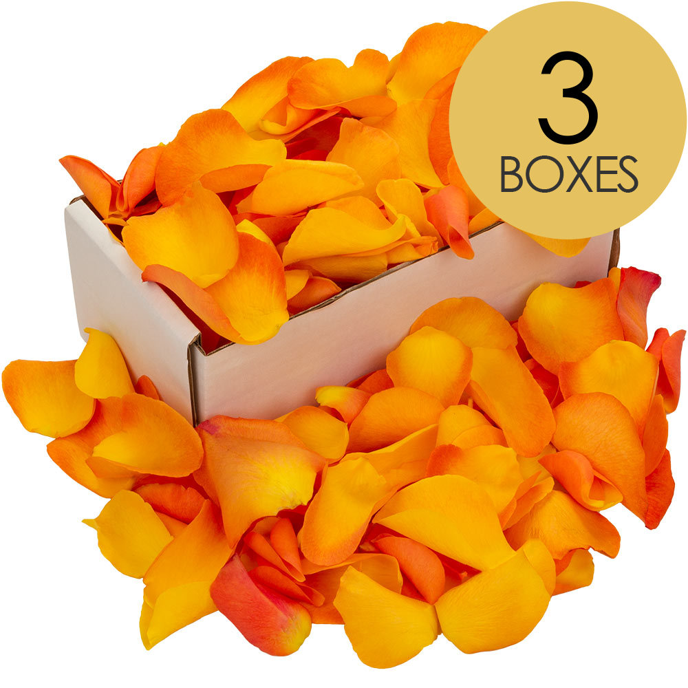 3 Boxes of Orange Rose Petals