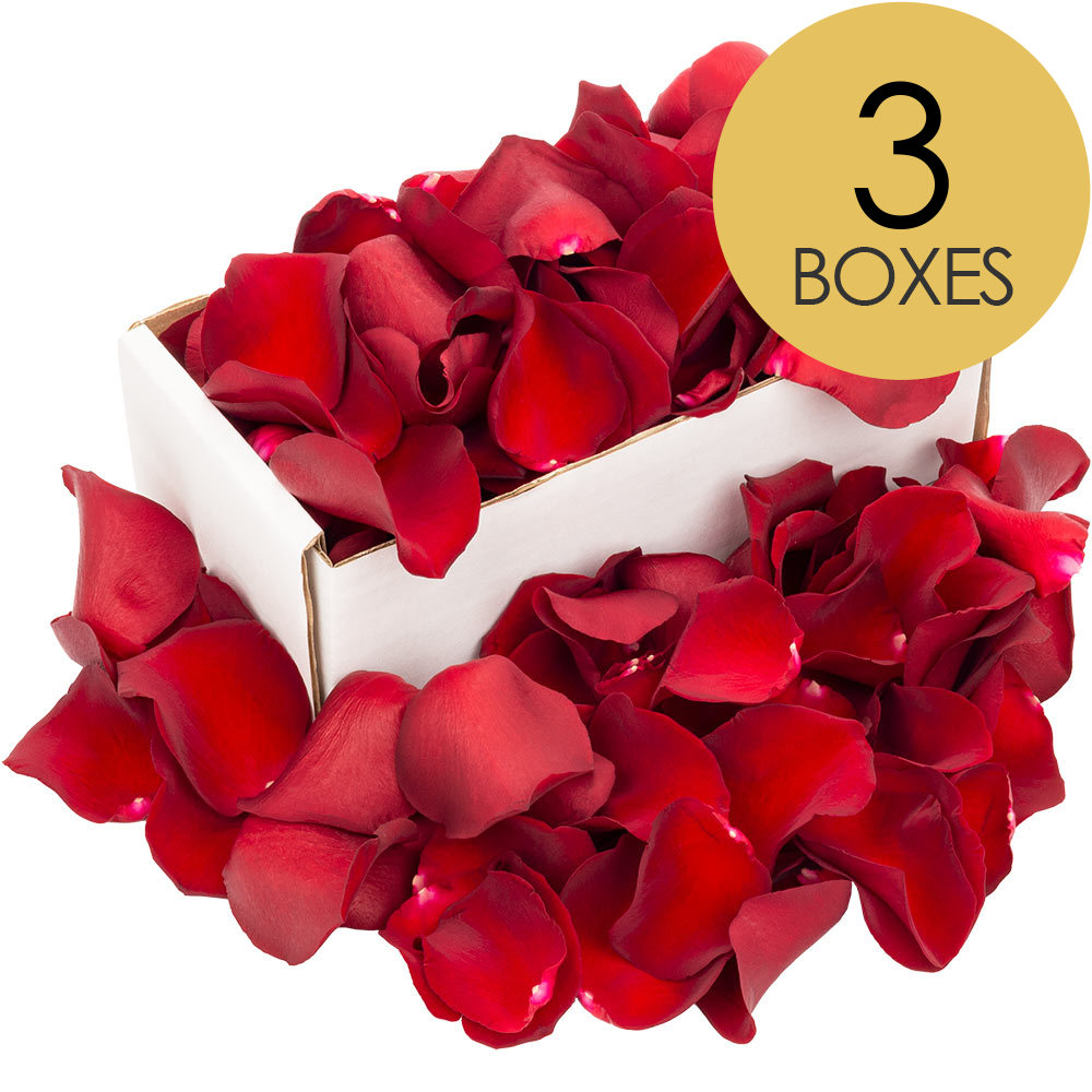 3 Boxes of Red Rose Petals
