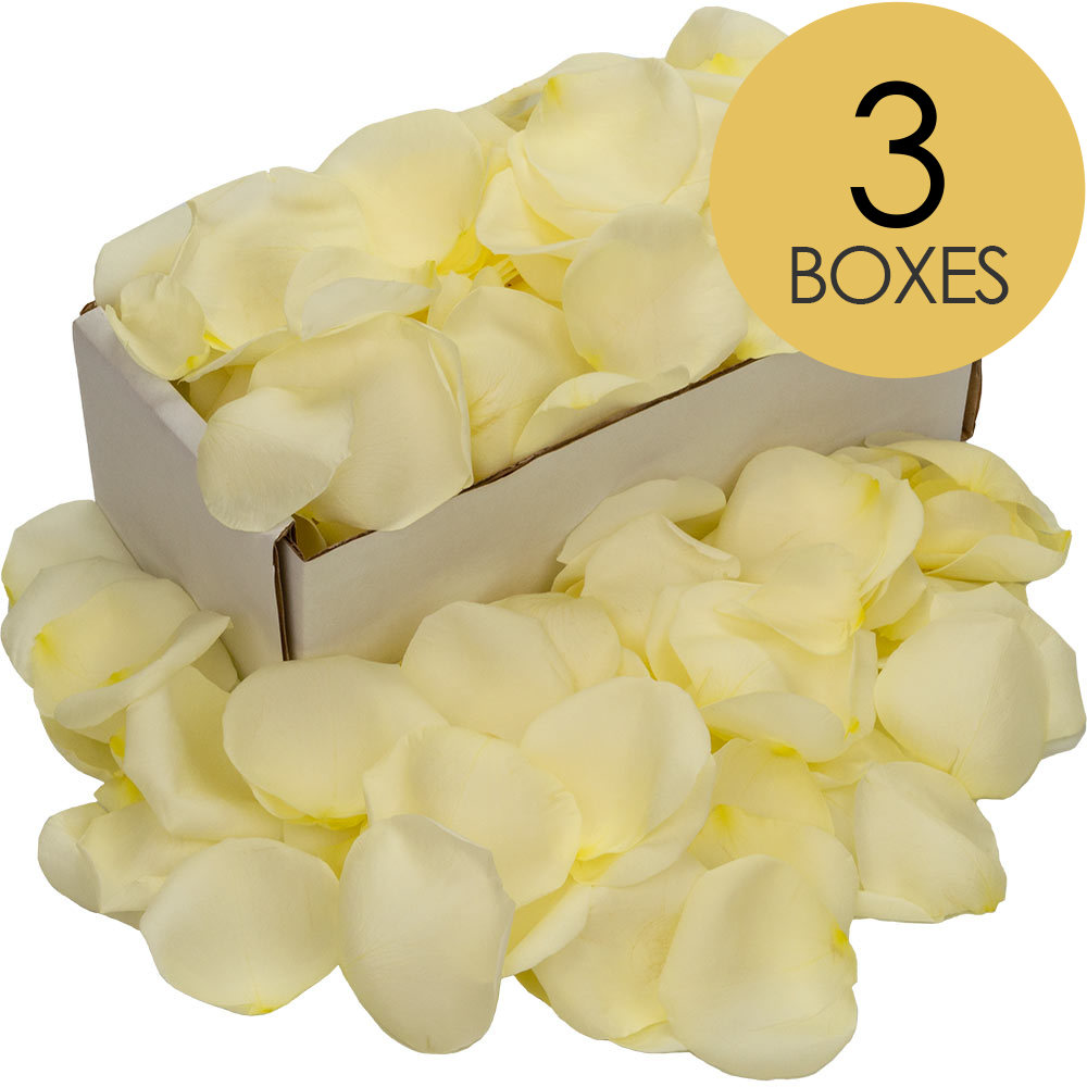 3 Boxes of White (Avalanche) Rose Petals