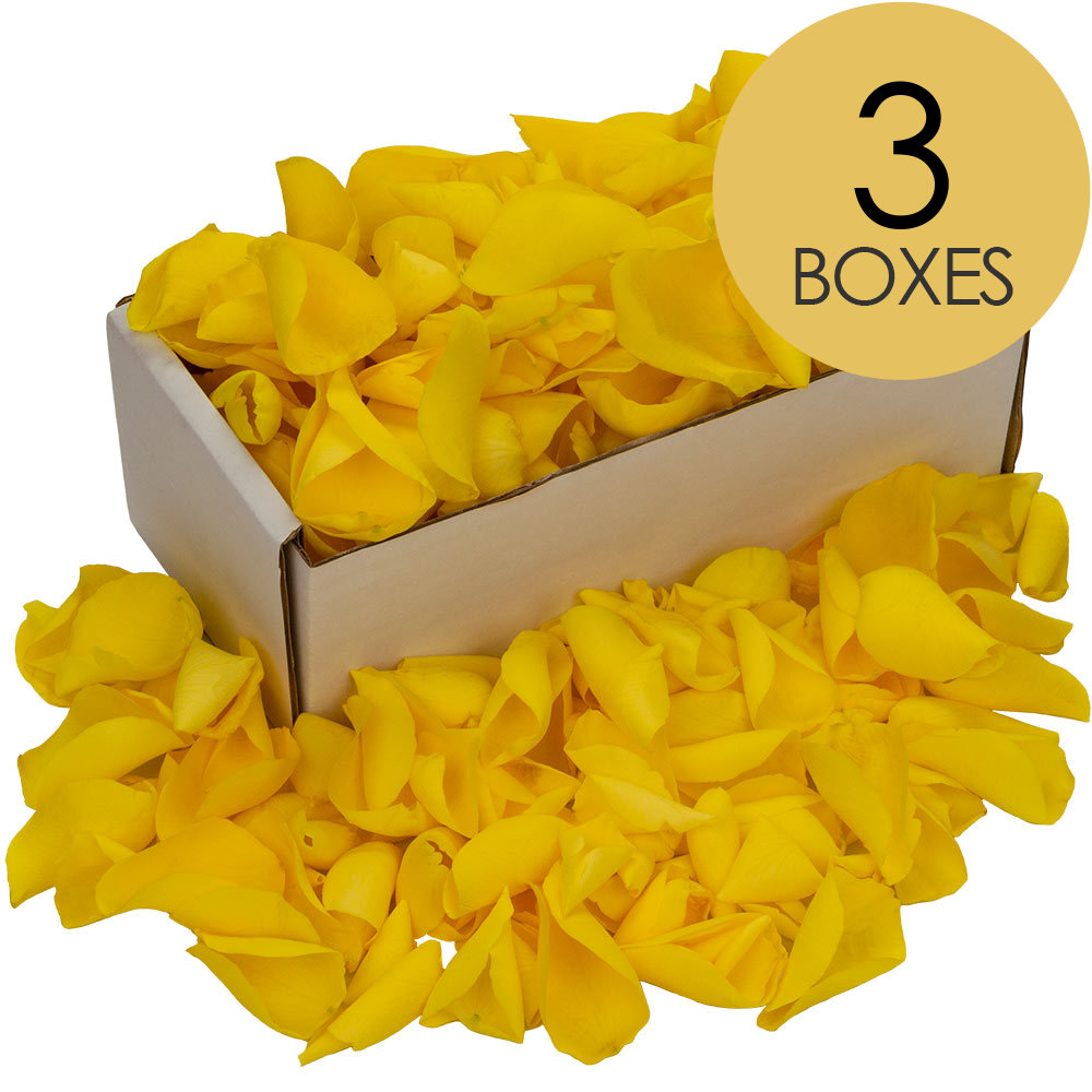 3 Boxes of Yellow Rose Petals