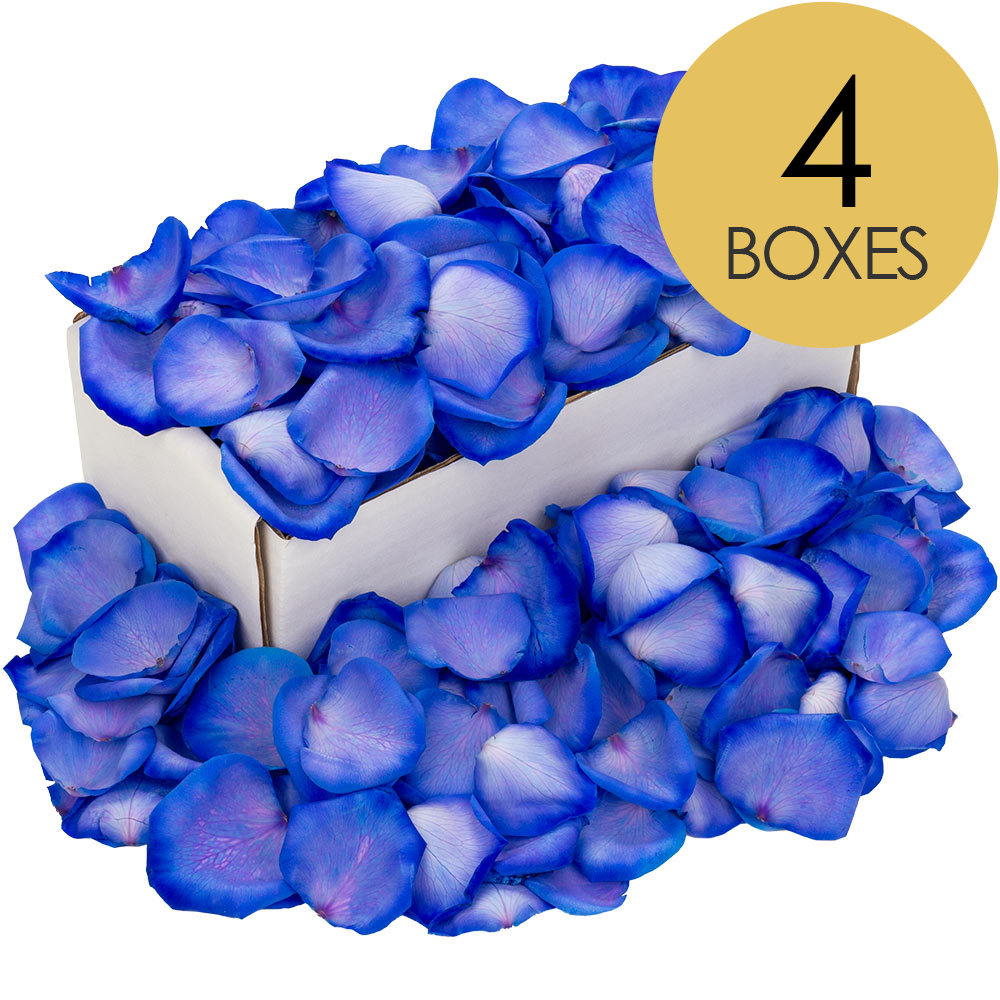 4 Boxes of Blue Rose Petals