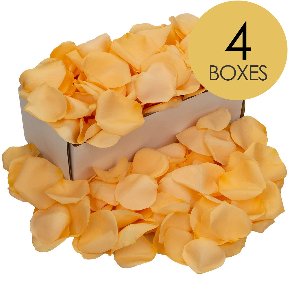 4 Boxes of Peach Rose Petals