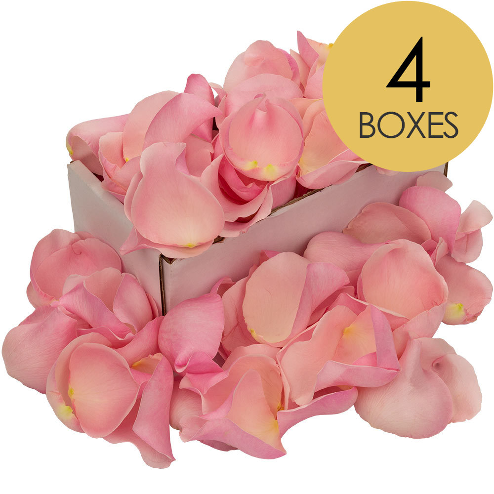 4 Boxes of Pink Rose Petals