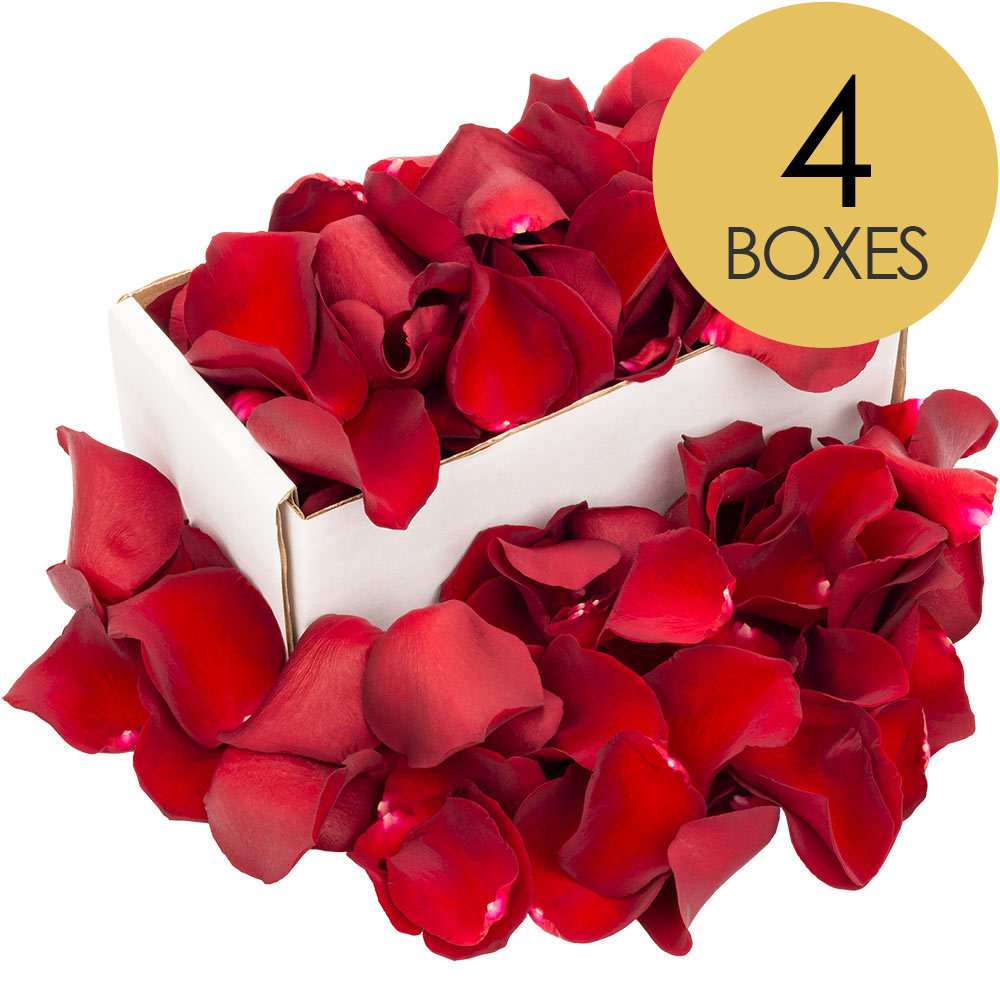 4 Boxes of Red Rose Petals