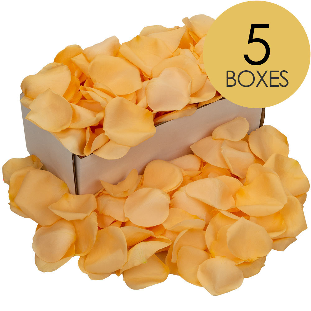 5 Boxes of Peach Rose Petals