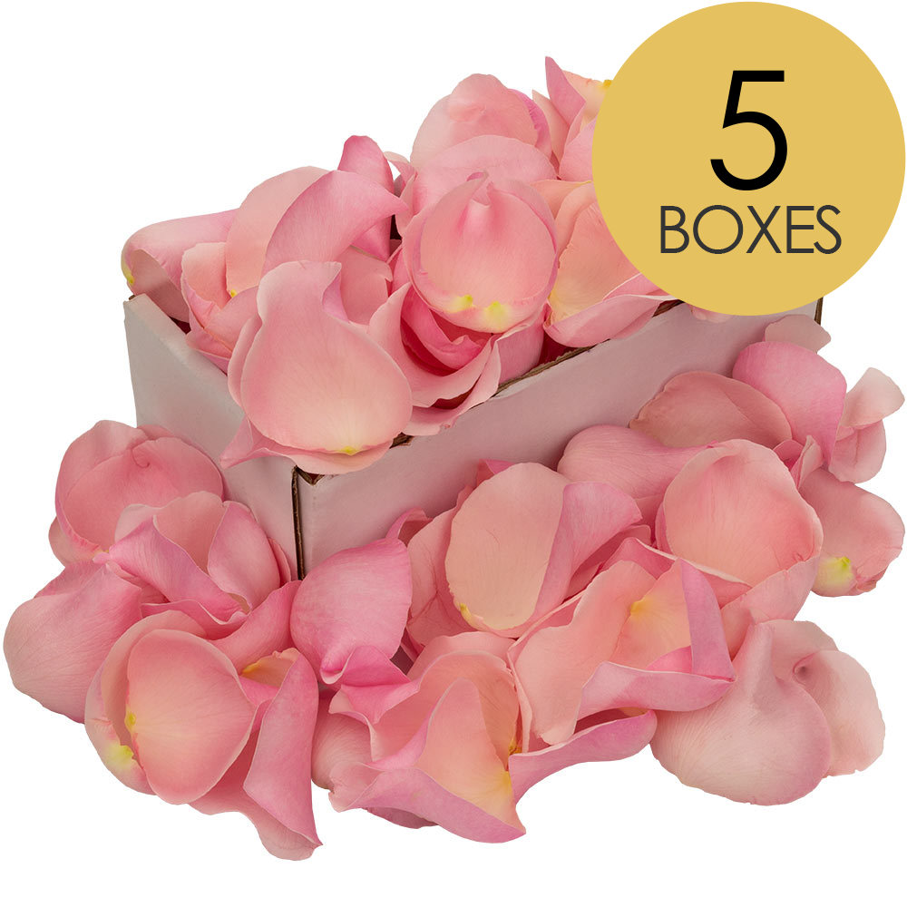 5 Boxes of Pink Rose Petals