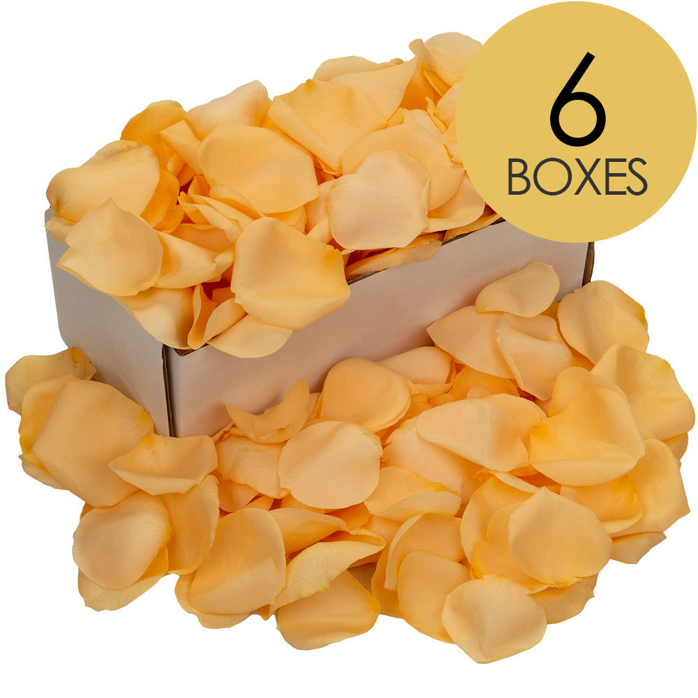 6 Boxes of Peach Rose Petals