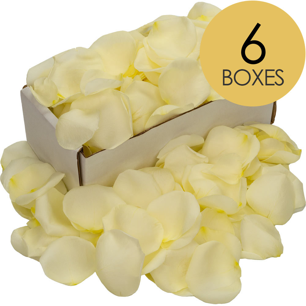 6 Boxes of White (Avalanche) Rose Petals